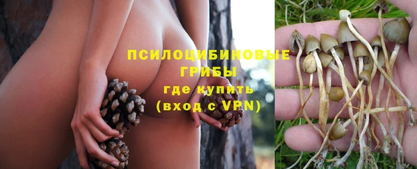 гашик Абаза