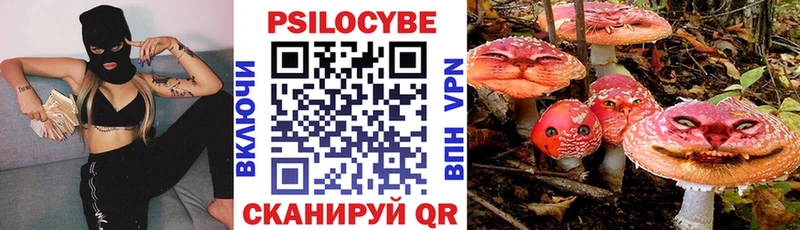 цены наркотик  Алдан  Галлюциногенные грибы Psilocybe 